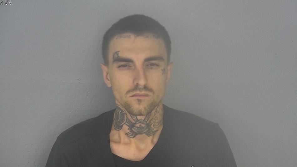 Arrest photo of WILLIAM NELSON