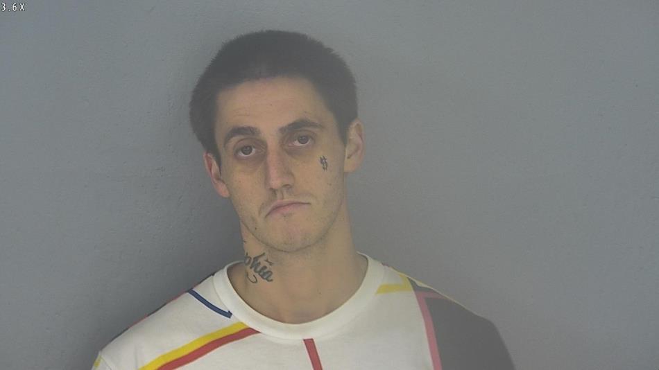 Arrest photo of WILLIAM SCHULTZ