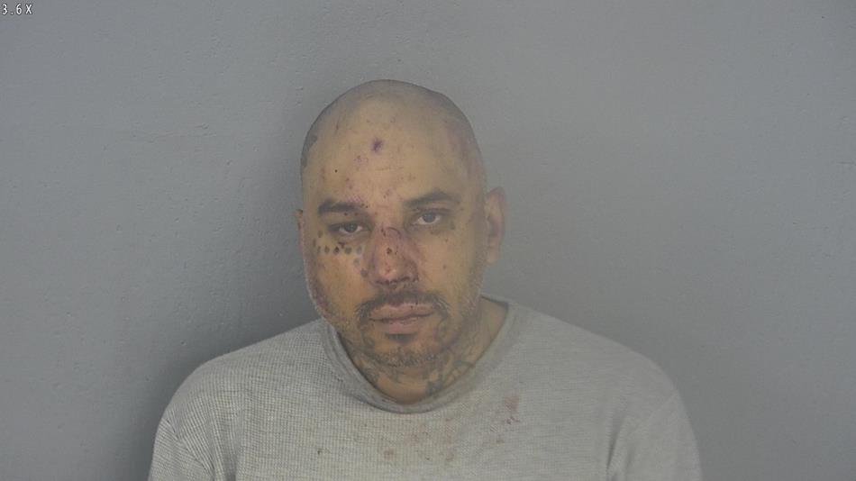Arrest photo of WILLIAM BUCCIARELLI