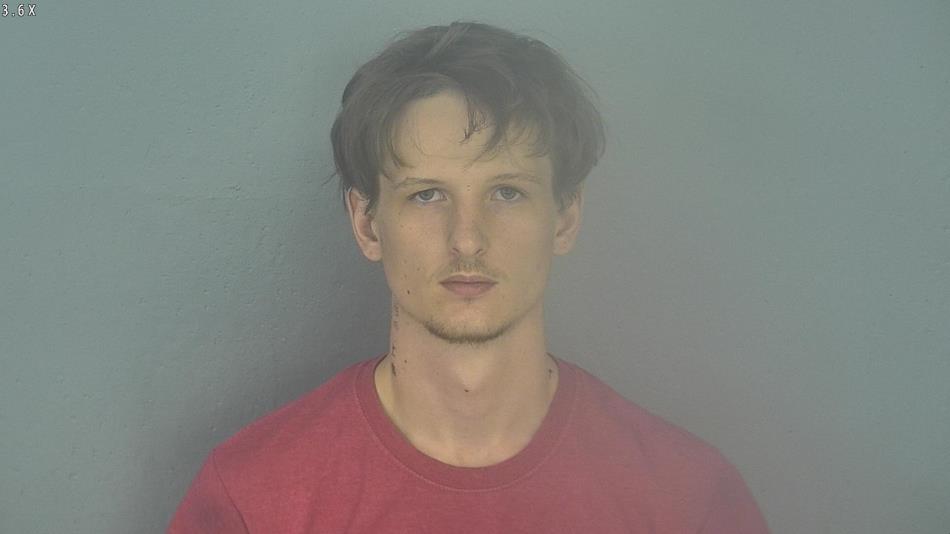 Arrest photo of WILLIAM GRIMES-JENKINS