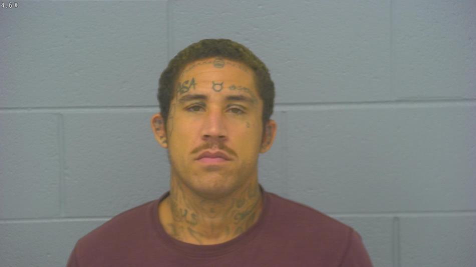 Arrest photo of WILLIAM HOWARD
