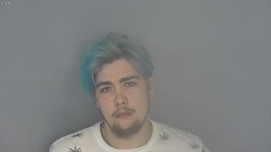 Arrest photo of WILLIAM BOYD