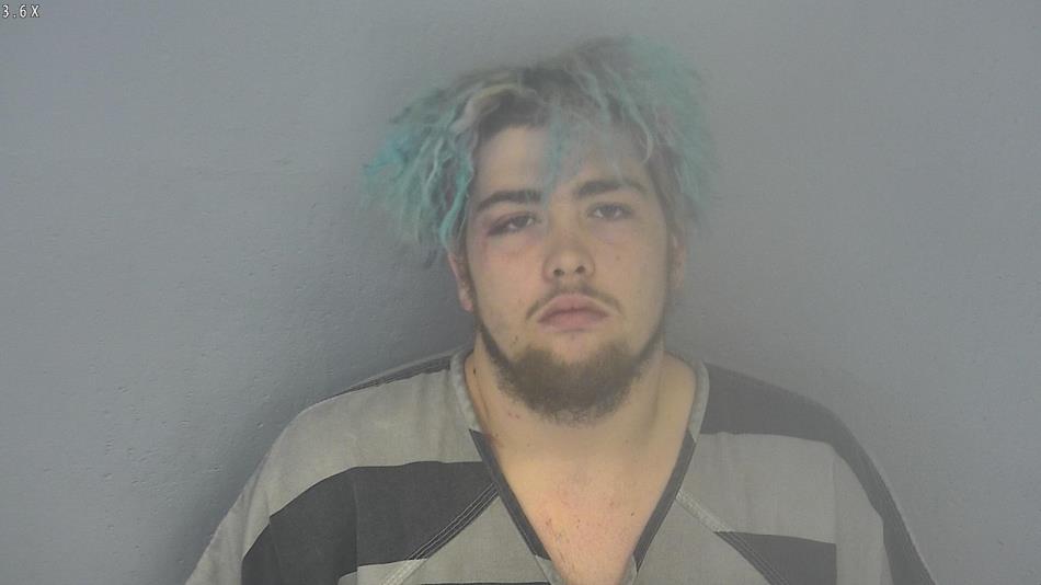 Arrest photo of WILLIAM BOYD