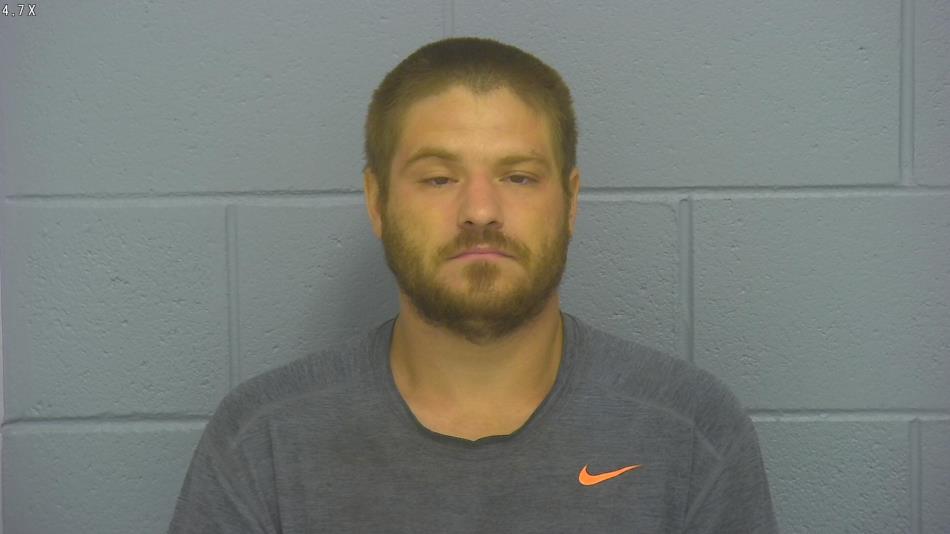 Arrest photo of WILLIAM JOHNSON