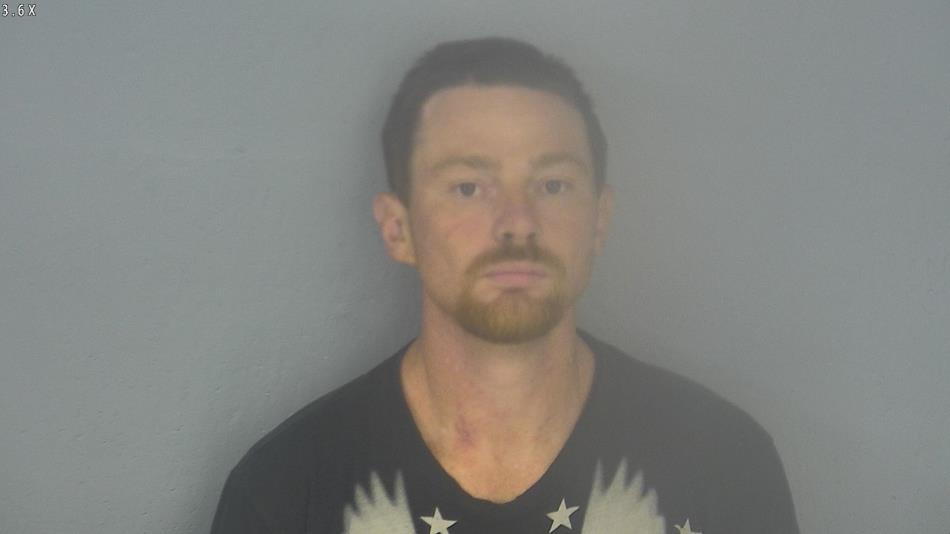 Arrest photo of WILLIAM GREEN