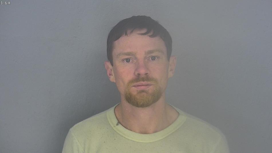 Arrest photo of WILLIAM GREEN