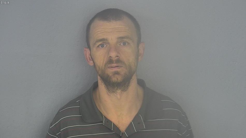 Arrest photo of WILLIAM VANDEWEERD