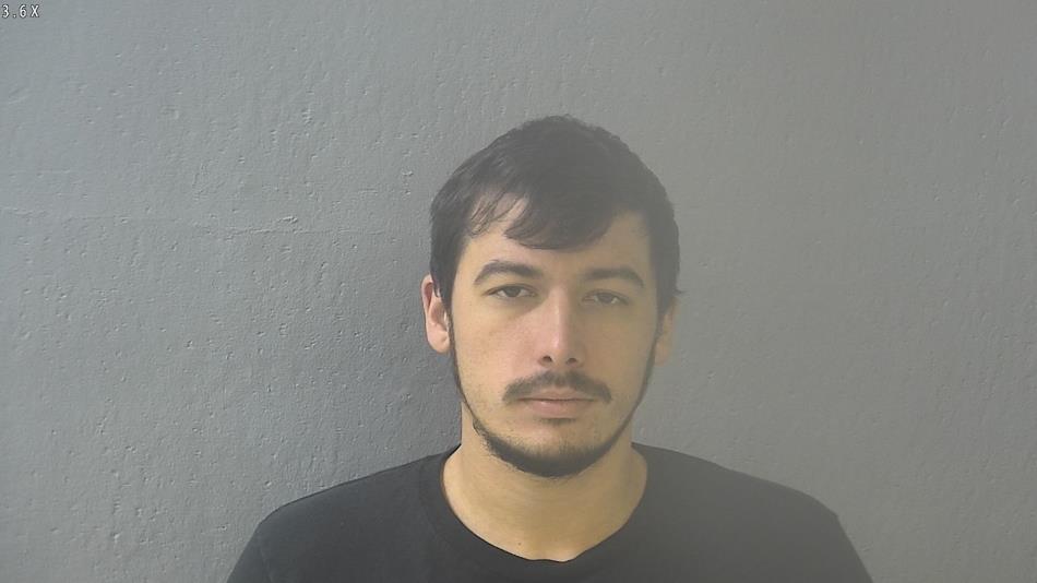 Arrest photo of WILLIAM LILE