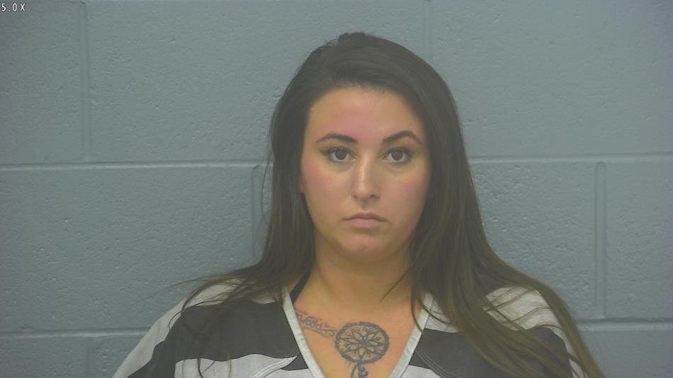 Arrest photo of WILLOW COOK