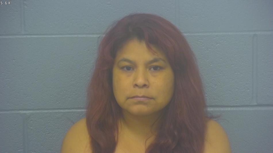 Arrest photo of YANET VELEDIAZ-ENRIQUEZ