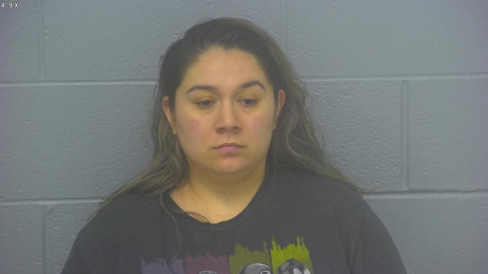 Arrest photo of YESENIA JARAMILLA