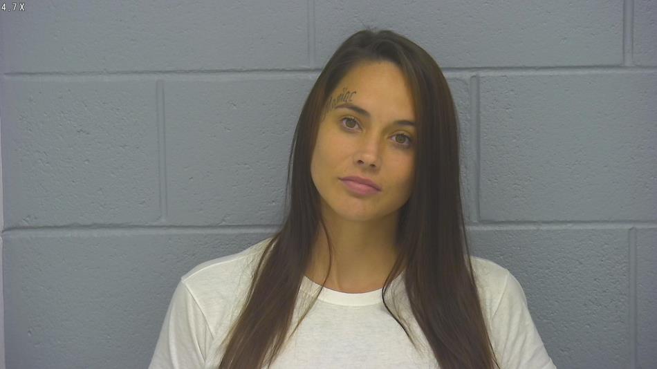 Arrest photo of YOLANDA FANTOZZI